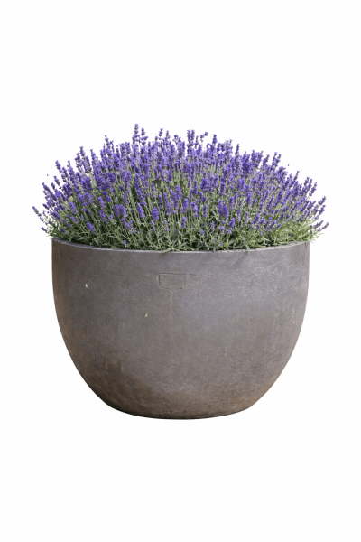 Moderner grauer runder Terracottatopf aus Impruneta - Bulbo grau